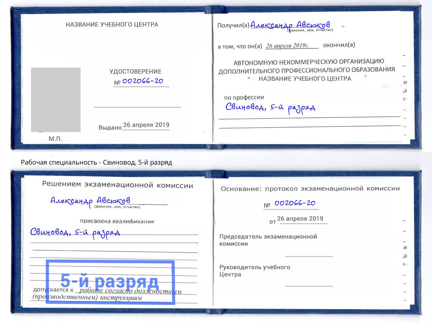 корочка 5-й разряд Свиновод Урай